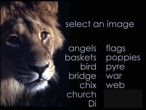 please wait for the lion to show the way